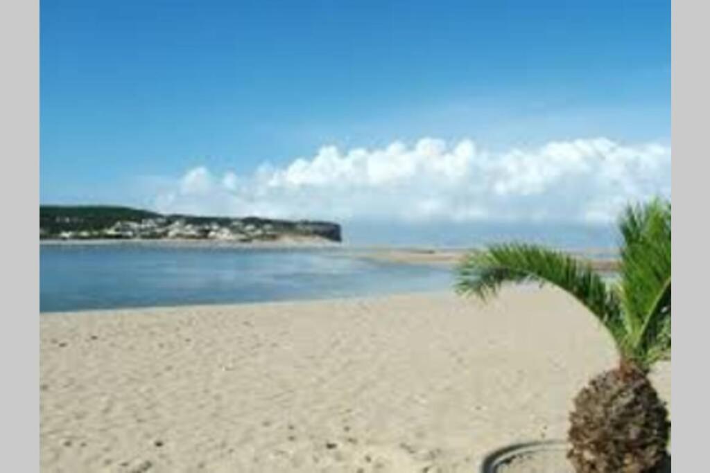 Blue Lagoon - Condominio Fechado Lagoa De Obidos Foz do Arelho Dış mekan fotoğraf
